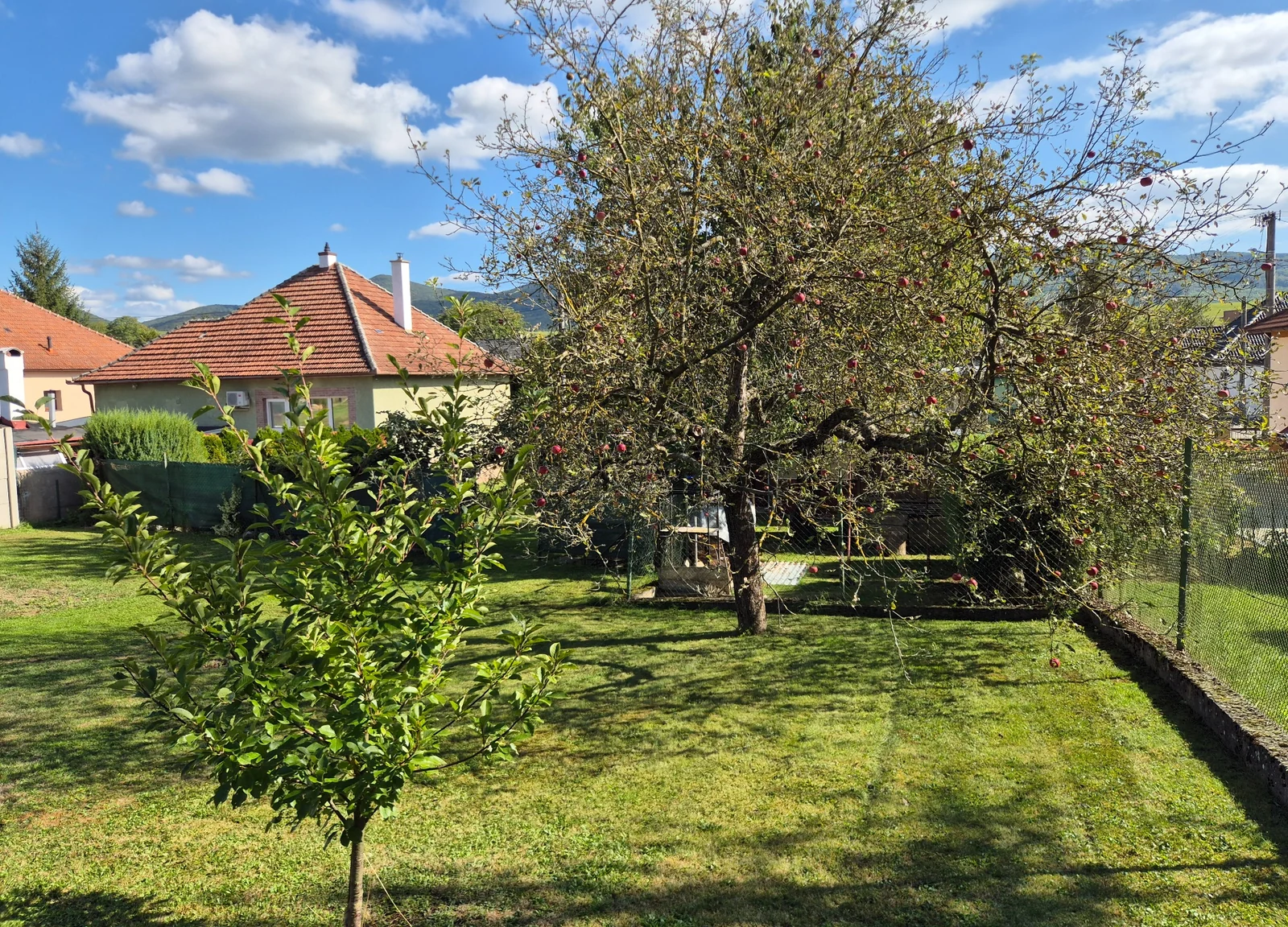 Ovocné stromy a menšia výsadba v slnečnej záhrade